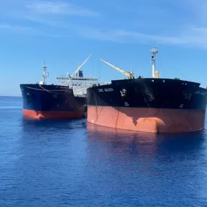 Antipollution Services by OIL Majors